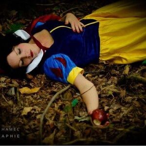 Snow White deluxe costume adult